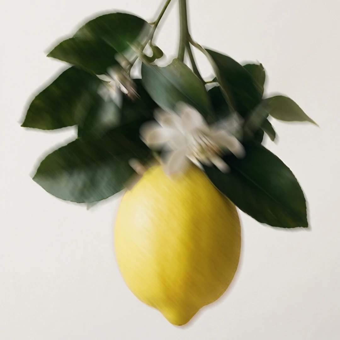 lemonade_3
