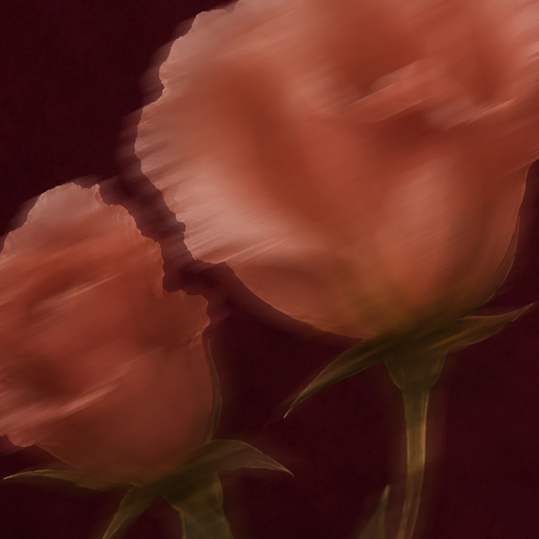 rose_musk_3